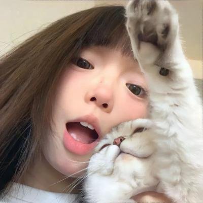 绝望写手第四季